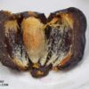 Mariami Dates - Image 4