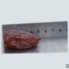 Medjool Dates|Medjool kurma palestine - Image 6