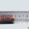 Mariami Dates - Image 5