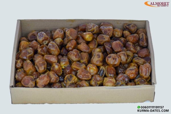 Sukkari Dates Rutab | best type of sukkai dates - Image 7