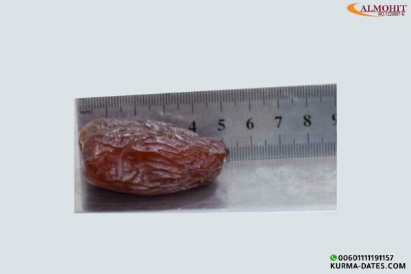 Medjool Dates|Medjool kurma palestine  5kg - Image 6