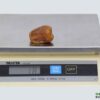 Sukkari Dates Rutab | best type of sukkai dates - Image 5