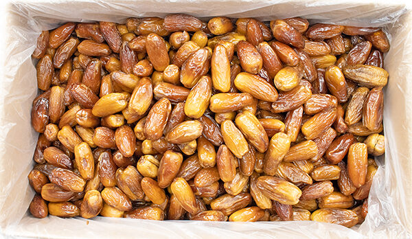 Deglet Noor Dates